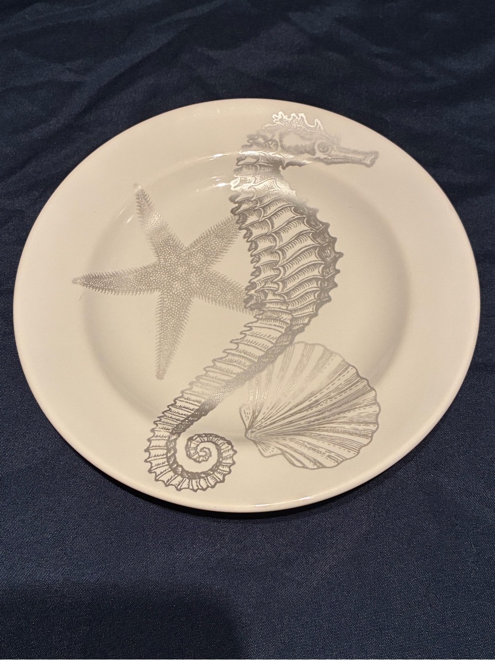 222 Fifth White Ceramic Coastal Life Salad Plates with Silver Sea Motifs